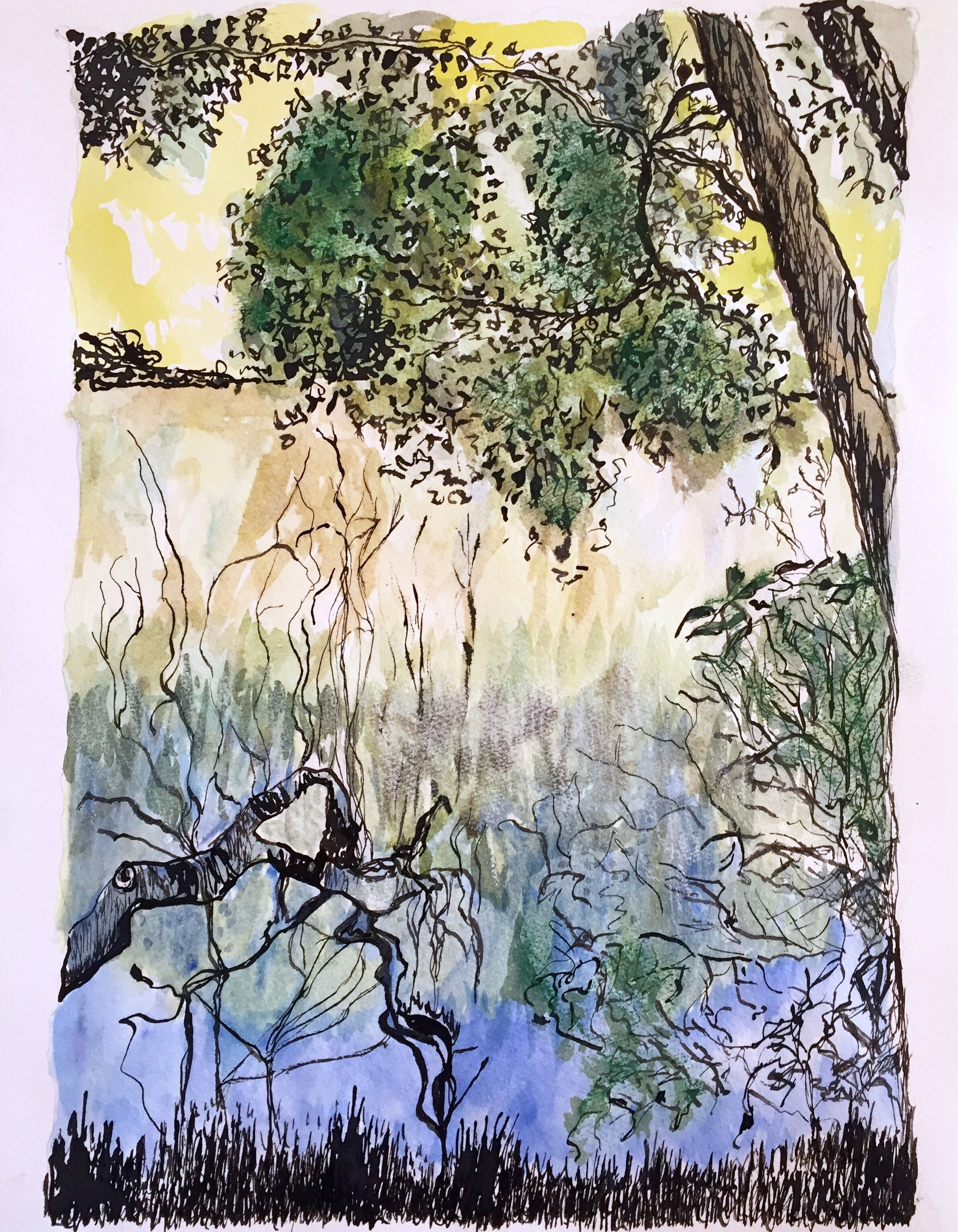  Mangrove. Ink, Watercolour and pasteljpg